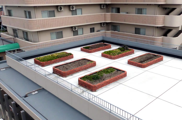 屋上緑化菜園